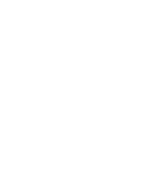 Live feed icon